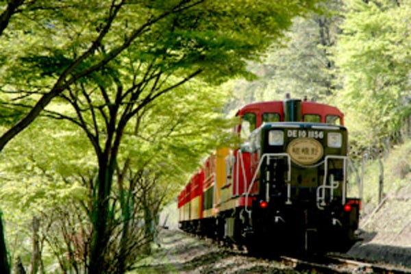 【阪神エリア発】 ゴールデンウィークに行く!新緑きらめく嵯峨野トロッコ列車 日帰り1